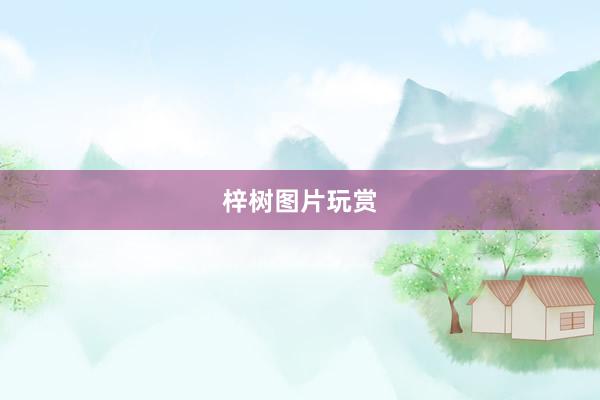 梓树图片玩赏