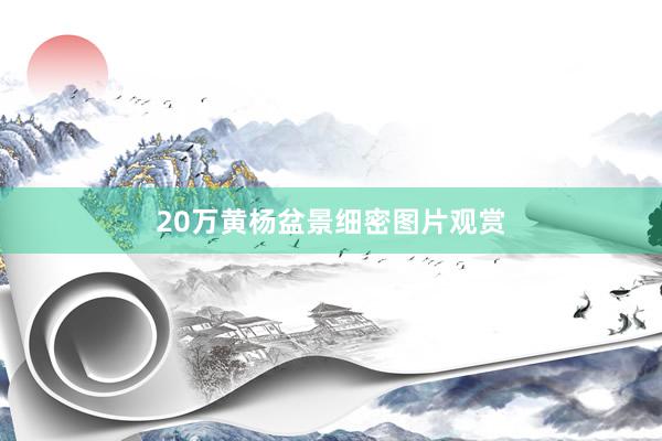 20万黄杨盆景细密图片观赏