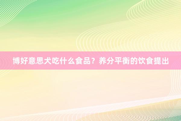 博好意思犬吃什么食品？养分平衡的饮食提出